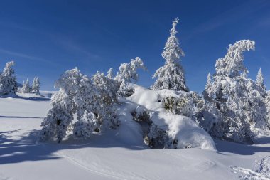 Bulgaristan 'ın Sofya Şehir Bölgesi, Vitosha Dağı' nın İnanılmaz Kış manzarası