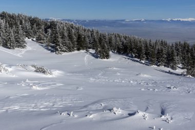 Bulgaristan 'ın Sofya Şehir Bölgesi, Vitosha Dağı' nın İnanılmaz Kış manzarası