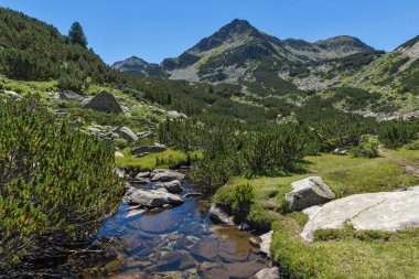 Yaz, yatay, Valyavitsa nehir ve Valyavishki Kınalı tepe, Pirin Dağı, Bulgaristan