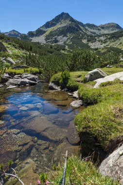 Yaz, yatay, Valyavitsa nehir ve Valyavishki Kınalı tepe, Pirin Dağı, Bulgaristan