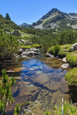 Yaz, yatay, Valyavitsa nehir ve Valyavishki Kınalı tepe, Pirin Dağı, Bulgaristan
