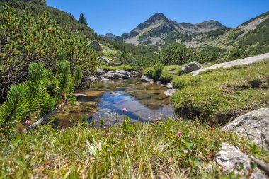 Yaz, yatay, Valyavitsa nehir ve Valyavishki Kınalı tepe, Pirin Dağı, Bulgaristan