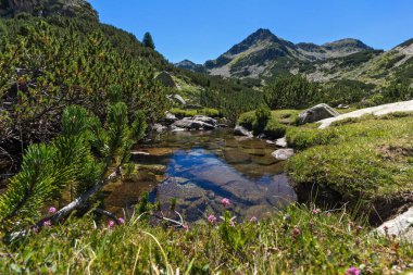 Yaz, yatay, Valyavitsa nehir ve Valyavishki Kınalı tepe, Pirin Dağı, Bulgaristan
