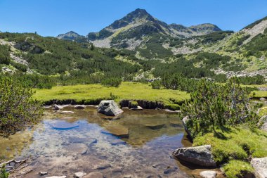 Yaz, yatay, Valyavitsa nehir ve Valyavishki Kınalı tepe, Pirin Dağı, Bulgaristan