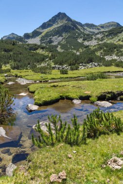 Yaz, yatay, Valyavitsa nehir ve Valyavishki Kınalı tepe, Pirin Dağı, Bulgaristan