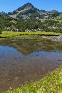 Yaz, yatay, Valyavitsa nehir ve Valyavishki Kınalı tepe, Pirin Dağı, Bulgaristan