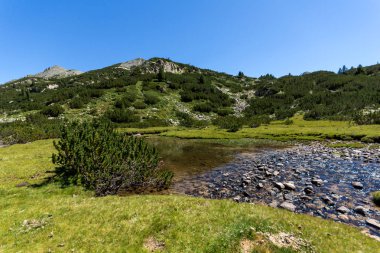 Yaz, yatay, Valyavitsa nehir ve Valyavishki Kınalı tepe, Pirin Dağı, Bulgaristan