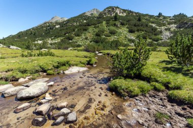 Yaz, yatay, Valyavitsa nehir ve Valyavishki Kınalı tepe, Pirin Dağı, Bulgaristan