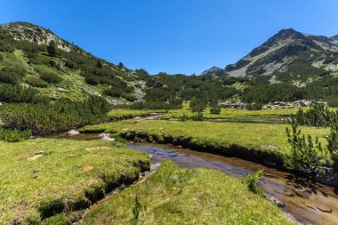 Yaz, yatay, Valyavitsa nehir ve Valyavishki Kınalı tepe, Pirin Dağı, Bulgaristan