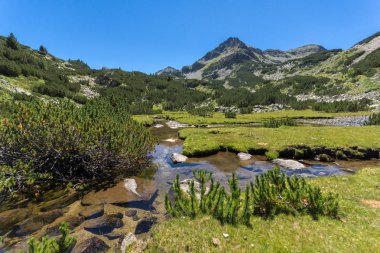 Yaz, yatay, Valyavitsa nehir ve Valyavishki Kınalı tepe, Pirin Dağı, Bulgaristan