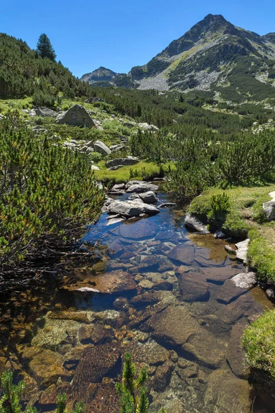 Sommerlandschaft Mit Waljawiza Fluss Und Waljawischki Tschukar Gipfel Pirin Gebirge — Stockfoto