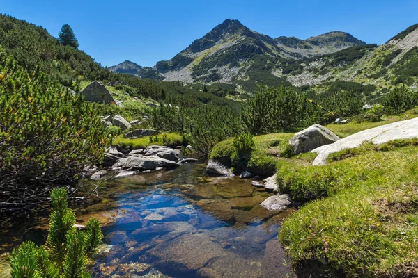 Paisagem Verão Com Rio Valyavitsa Pico Valyavishki Chukar Pirin Mountain — Fotografia de Stock