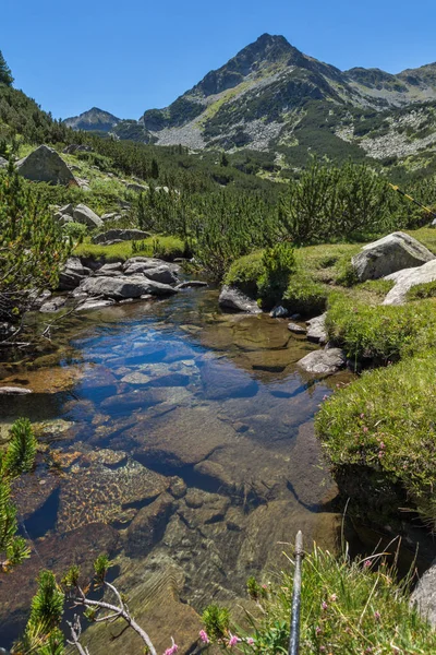 Yaz, yatay, Valyavitsa nehir ve Valyavishki Kınalı tepe, Pirin Dağı, Bulgaristan