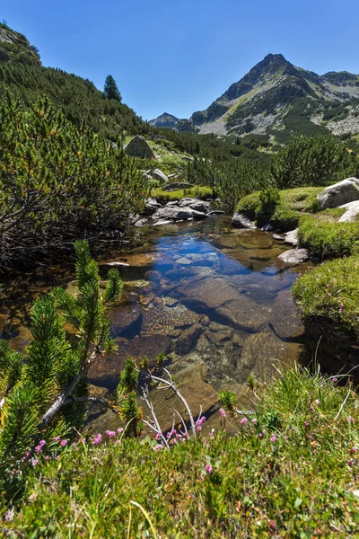 Zomer Landschap Met Valyavitsa Rivier Valyavishki Chukar Peak Pirin Gebergte — Stockfoto