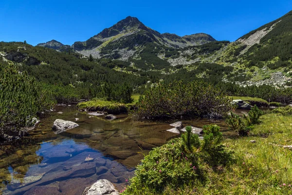 Paysage Estival Avec Rivière Valyavitsa Sommet Chukar Valyavishki Montagne Pirin — Photo