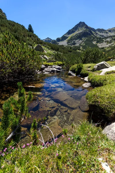 Summer Landscape Valyavitsa River Valyavishki Chukar Peak Pirin Mountain Bulgaria — Stock Photo, Image