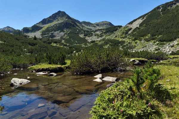 Pemandangan Musim Panas Dengan Sungai Valyavitsa Dan Puncak Valyavishki Chukar — Stok Foto