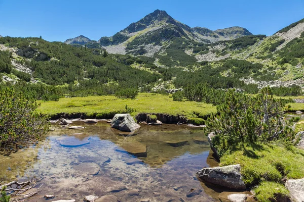 Summer Krajobraz Rzeką Valyavitsa Valyavishki Chukar Szczyt Góry Pirin Bułgaria — Zdjęcie stockowe