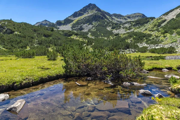 Letní Krajina Řekou Valyavitsa Valyavishki Chukar Peak Pohoří Pirin Bulharsko — Stock fotografie