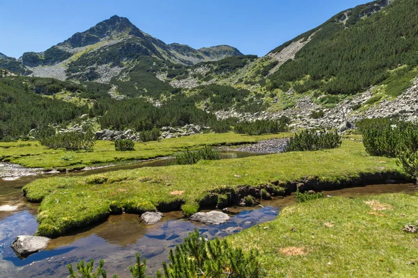 Pemandangan Musim Panas Dengan Sungai Valyavitsa Dan Puncak Valyavishki Chukar — Stok Foto