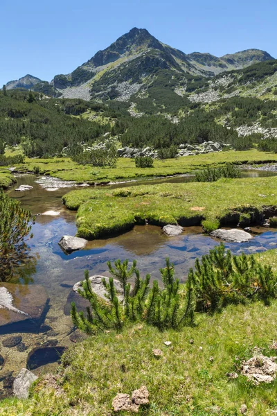 Sommerlandskap Med Valyavitsa River Valyavishki Chukar Peak Pirin Mountain Bulgaria – stockfoto