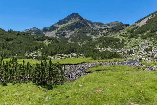 Pemandangan Musim Panas Dengan Sungai Valyavitsa Dan Puncak Valyavishki Chukar — Stok Foto