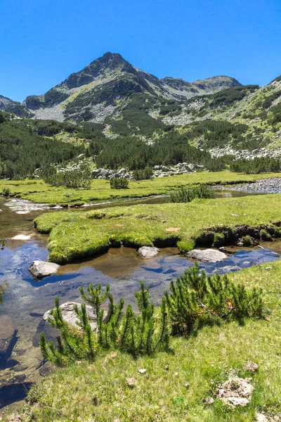 Pemandangan Musim Panas Dengan Sungai Valyavitsa Dan Puncak Valyavishki Chukar — Stok Foto