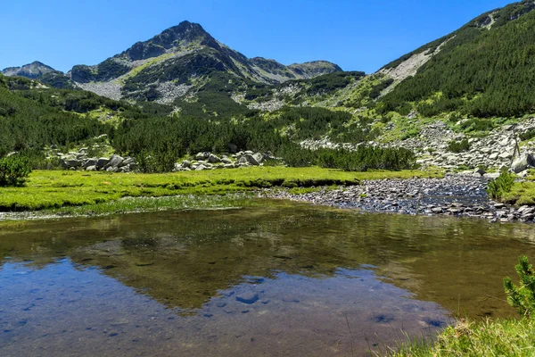 Paysage Estival Avec Rivière Valyavitsa Sommet Chukar Valyavishki Montagne Pirin — Photo