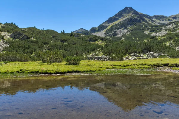 Paisagem Verão Com Rio Valyavitsa Pico Valyavishki Chukar Pirin Mountain — Fotografia de Stock