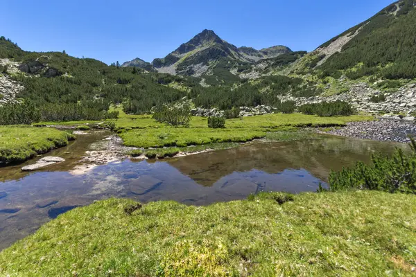 Sommarlandskap Med Valyavitsa Floden Och Valyavishki Berghöna Topp Berget Pirin — Stockfoto