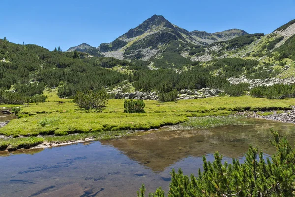 Sommerlandschaft Mit Waljawiza Fluss Und Waljawischki Tschukar Gipfel Pirin Gebirge — Stockfoto
