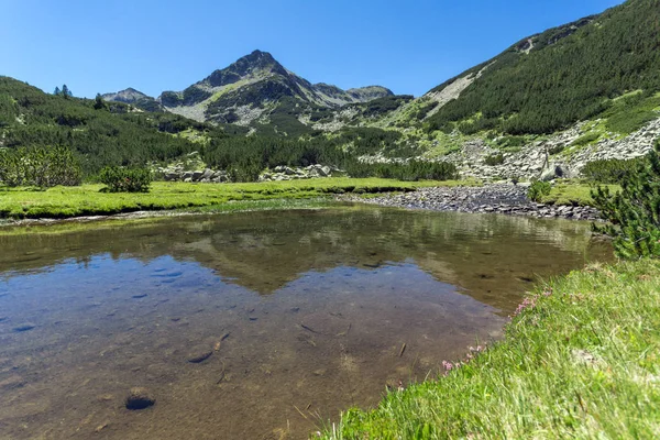 Letní Krajina Řekou Valyavitsa Valyavishki Chukar Peak Pohoří Pirin Bulharsko — Stock fotografie