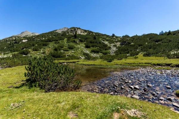 Sommerlandskab Med Valyavitsa Flod Valyavishki Chukar Peak Pirin Mountain Bulgarien - Stock-foto