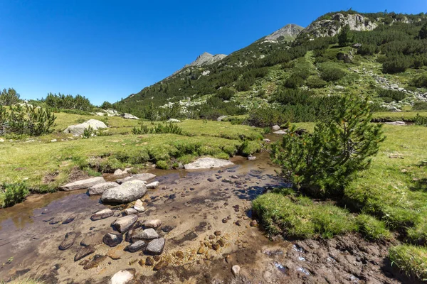 Letní Krajina Řekou Valyavitsa Valyavishki Chukar Peak Pohoří Pirin Bulharsko — Stock fotografie
