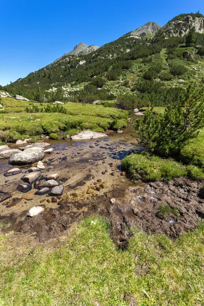 Sommarlandskap Med Valyavitsa Floden Och Valyavishki Berghöna Topp Berget Pirin — Stockfoto