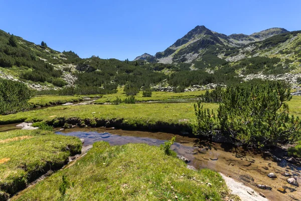 Summer Krajobraz Rzeką Valyavitsa Valyavishki Chukar Szczyt Góry Pirin Bułgaria — Zdjęcie stockowe