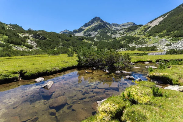 Kesämaisema Valyavitsa Joen Valyavishki Chukar Huippu Pirin Mountain Bulgaria — kuvapankkivalokuva