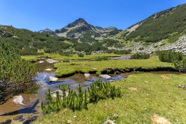 Yaz, yatay, Valyavitsa nehir ve Valyavishki Kınalı tepe, Pirin Dağı, Bulgaristan