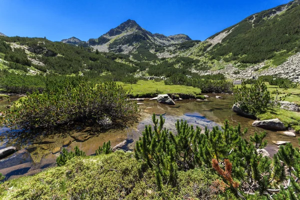 Letní Krajina Řekou Valyavitsa Valyavishki Chukar Peak Pohoří Pirin Bulharsko — Stock fotografie
