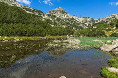 Yaz manzara dağ nehir ve Hvoynati tepe, Pirin Dağı, Bulgaristan