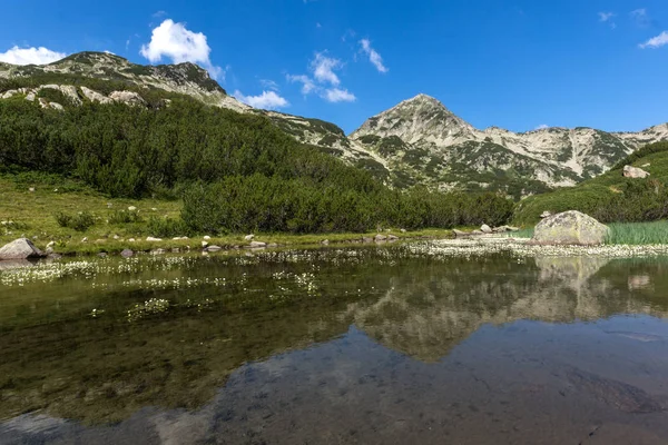 Summer Landscape Mountain River Hvoynati Peak Pirin Mountain Bulgaria — Stock Photo, Image