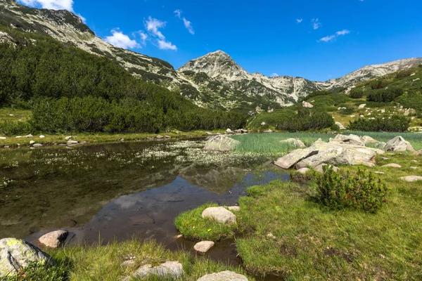 Paysage Estival Rivière Montagne Pic Hvoynati Pirin Mountain Bulgarie — Photo