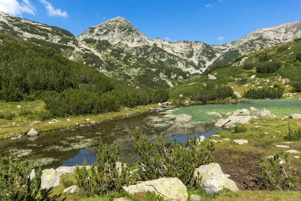 Sommarlandskap Mountain River Och Hvoynati Peak Berget Pirin Bulgarien — Stockfoto