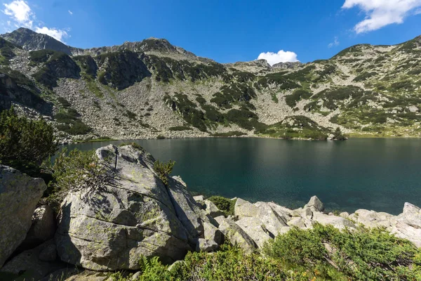 Sommerlandskap Banderitsa Fiskesjøen Pirinfjellet Bulgaria – stockfoto