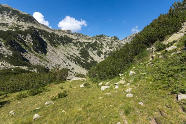 Paysage Estival Pirin Mountain Bulgarie — Photo