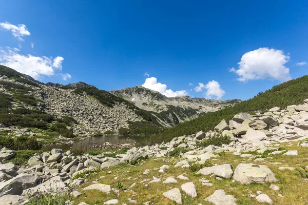 Paisagem Verão Com Pequeno Lago Montanha Pirin Bulgária — Fotografia de Stock