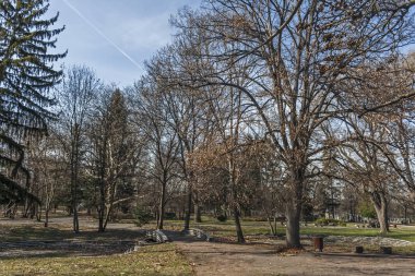 Sofya, Bulgaristan - 7 Mart 2019: Sofya'nın Sofya şehrinde ki Borisova gradina'da (Boris Garden) Ağaçlar ve Bahçeler ile Peyzaj