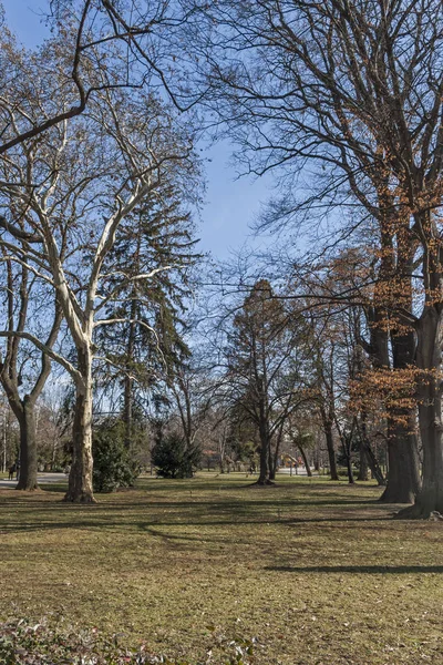 Sofia Bulgaria Marzo 2019 Paesaggio Con Alberi Giardini Borisova Gradina — Foto Stock