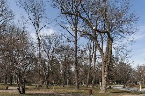 Sofia Bulgaria March 2019 Landscape Trees Gardens Borisova Gradina Boris — Stock Photo, Image