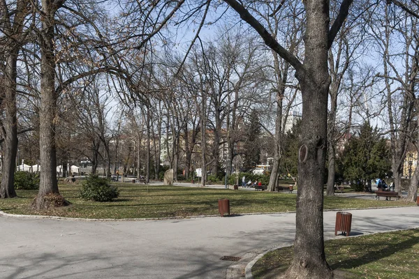 ソフィア ブルガリア 2019 木とブルガリア ソフィア市ボリソヴァ Gradina Boris Garden の庭園風景 — ストック写真